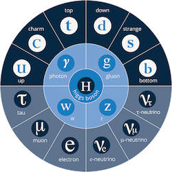 Standard model