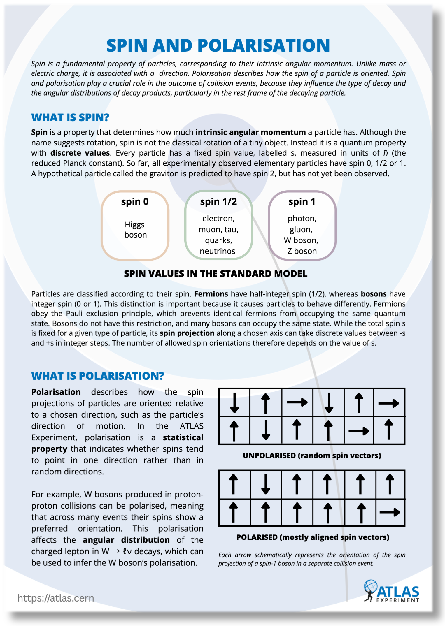 Spin and Polarisation